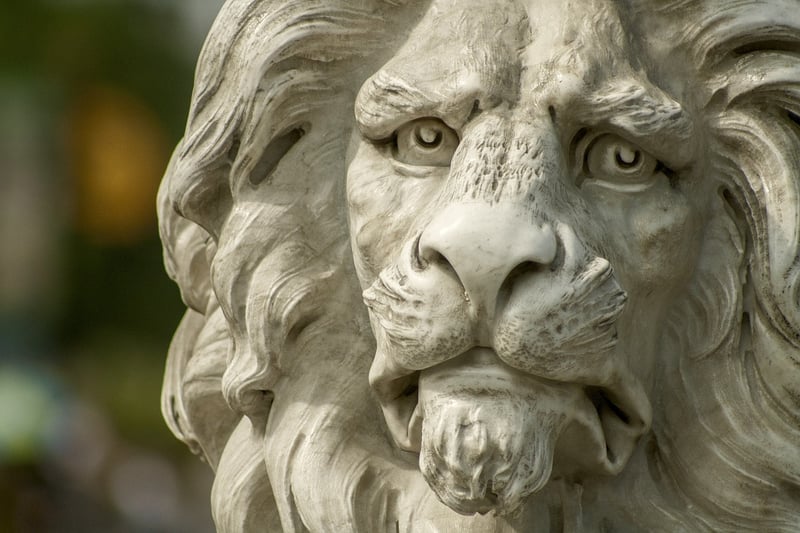 Lioness in the Savannah
